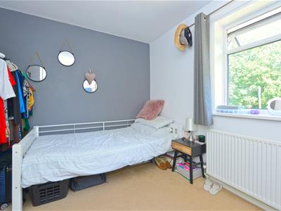 Picture 18